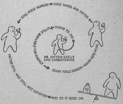 Mr Fatten-Easily eats carbohydrate–Turns to fat– little available for energy– soon feels hungry and again eats more– only makes him fatter– still feels hungry– fatter still and still not satisfied— and so it goes on.